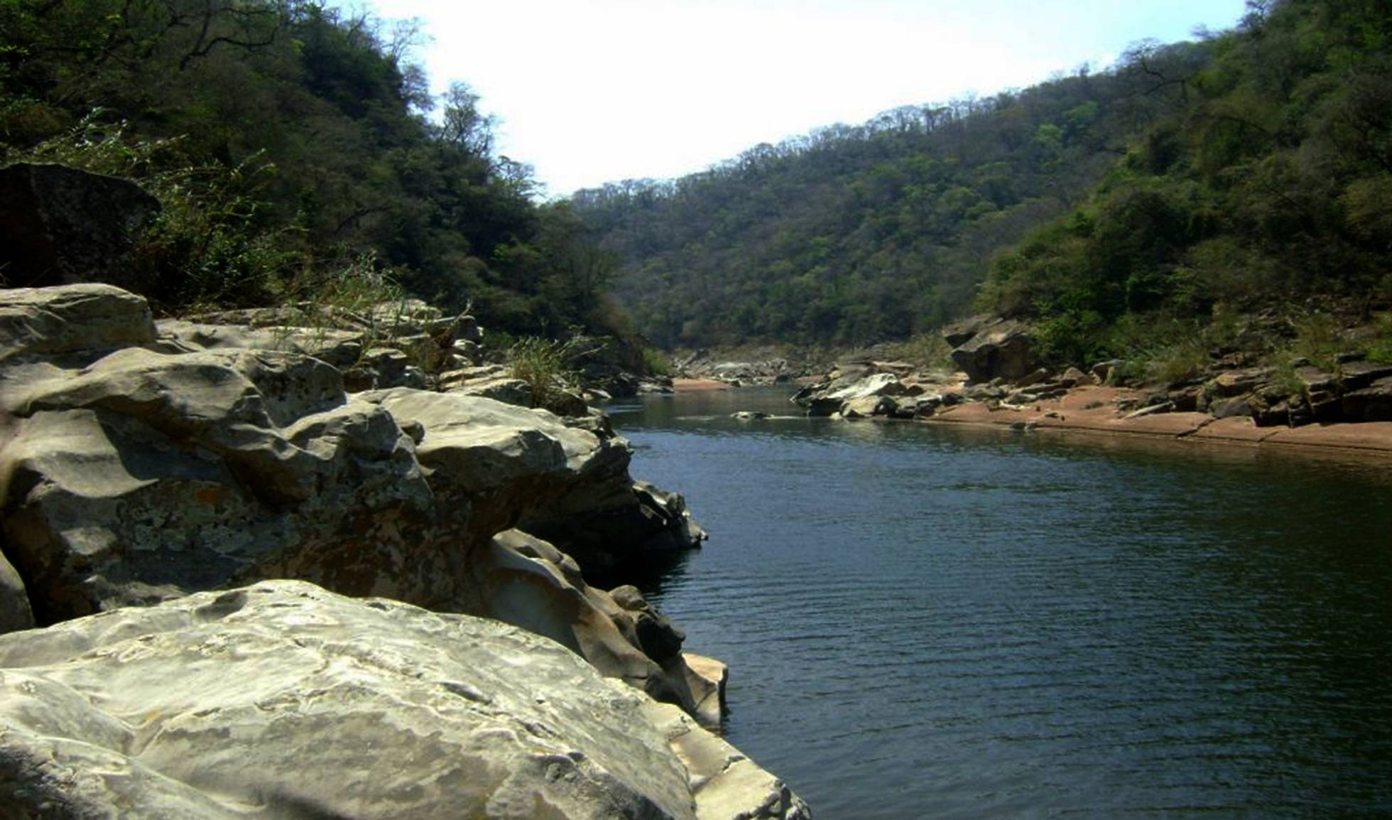 1554335622_161574_1554338803_noticia_normal_recorte1