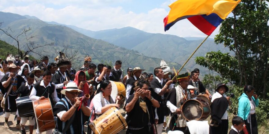 Diez pequeñas soluciones para un gran desafío: sustituir la coca en Colombia