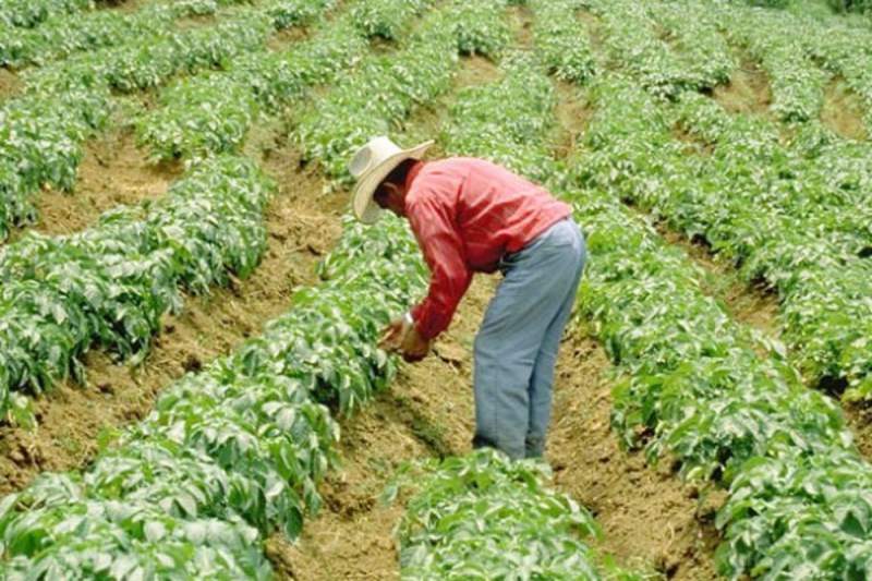 dt.common.streams.StreamServer