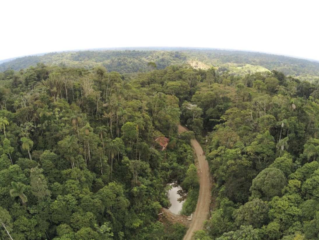 La participación ciudadana es vital para conservar la vida silvestre en la Amazonía ecuatoriana