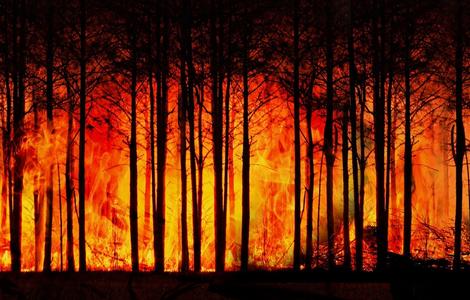 amazzonia-in-fiamme