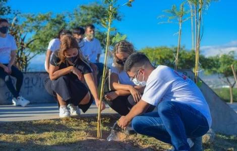 twr_abuelasplazamayo_memoria24m_x1x.jpg_1718483347